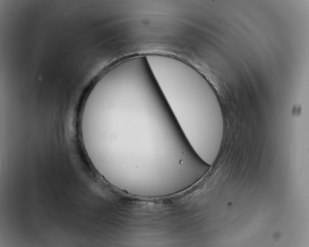 X0000103260347200808291048