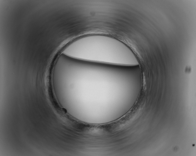 X0000103260348200808291048