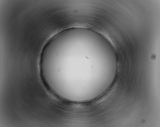 X0000103260349200808291048