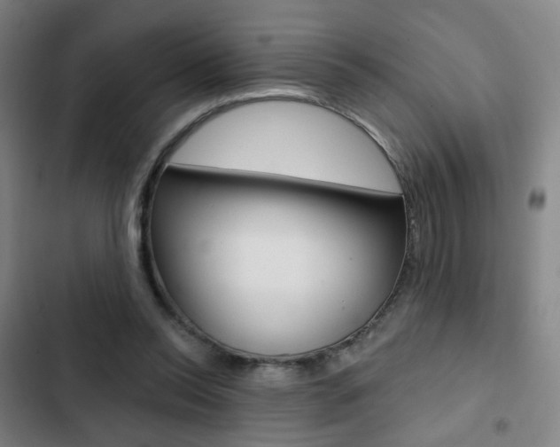 X0000103260350200808291048