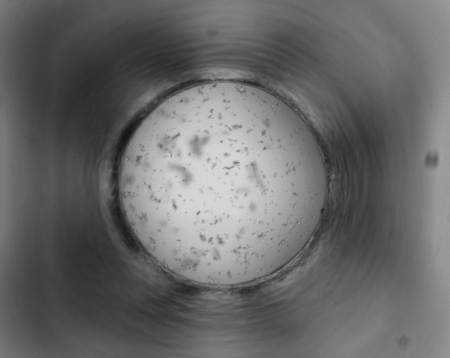 X0000103260351200808291048