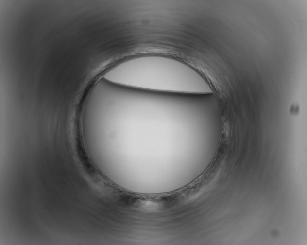 X0000103260352200808291048