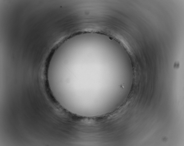 X0000103260354200808291048