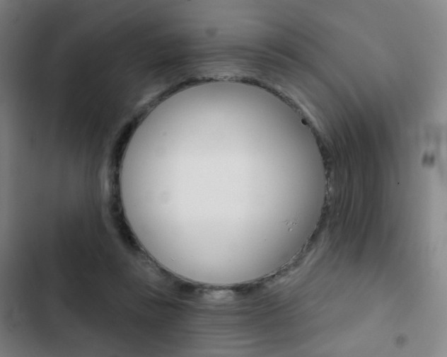 X0000103260355200808291048