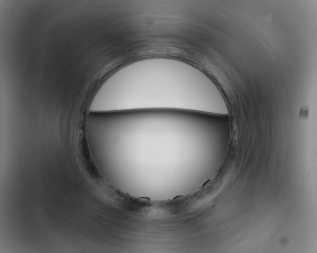 X0000103260356200808291048