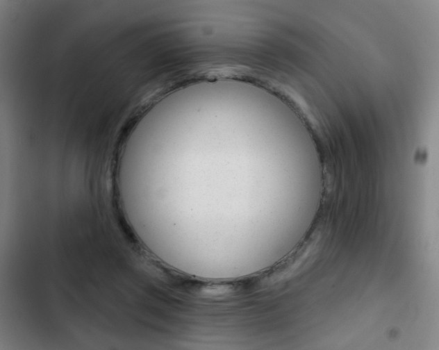 X0000103260357200808291048