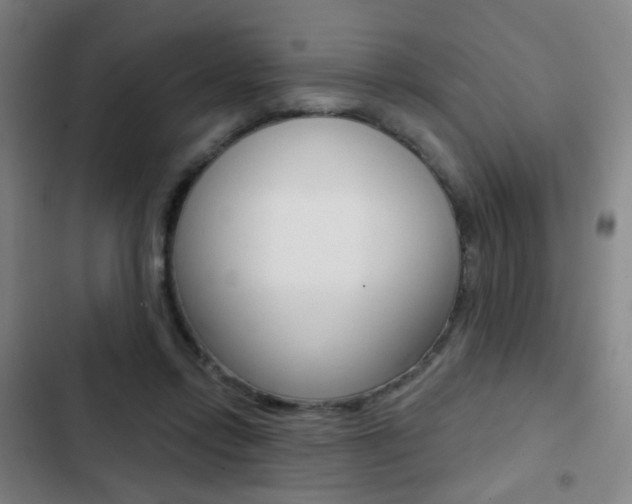 X0000103260358200808291048