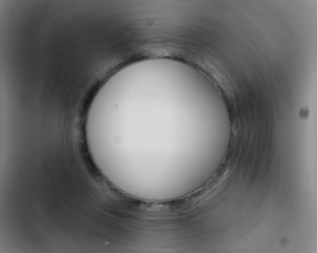 X0000103260359200808291048