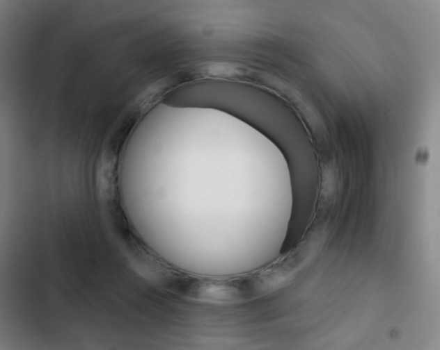 X0000103260360200808291048