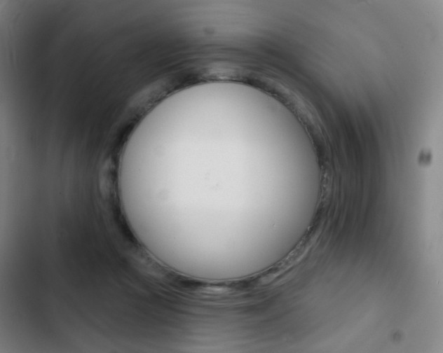 X0000103260361200808291048