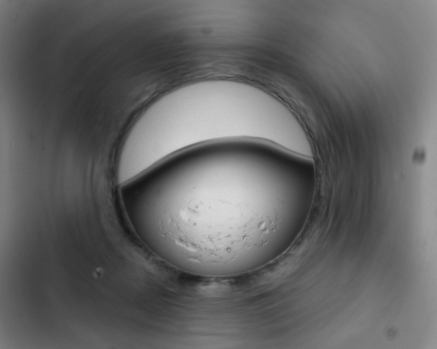 X0000103260362200808291048