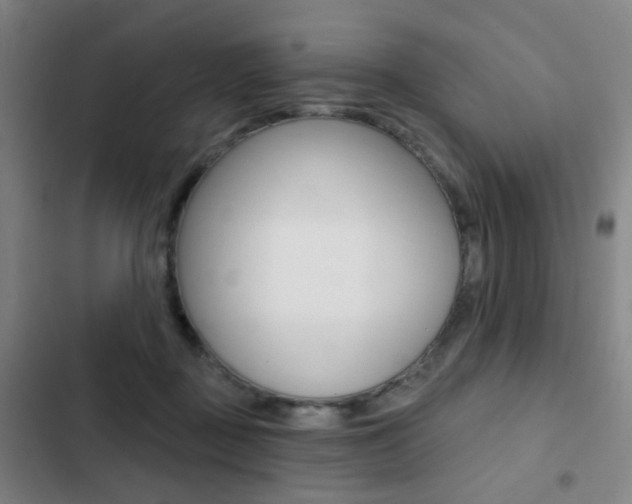 X0000103260363200808291048