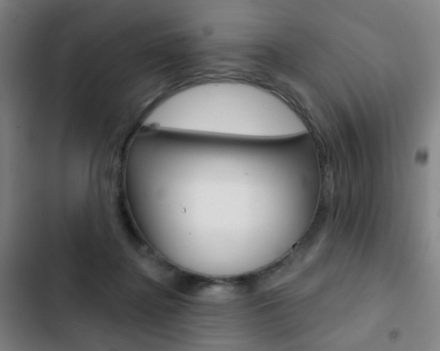 X0000103260364200808291048