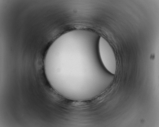 X0000103260367200808291048