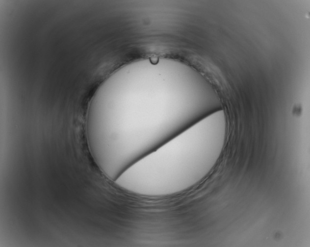 X0000103260369200808291048