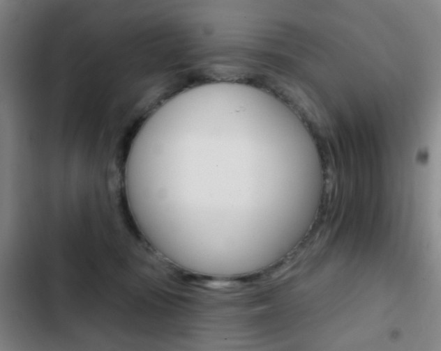 X0000103260371200808291048