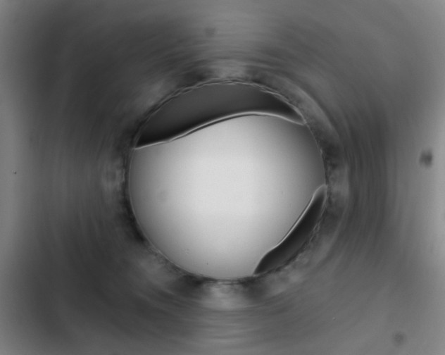 X0000103260372200808291048