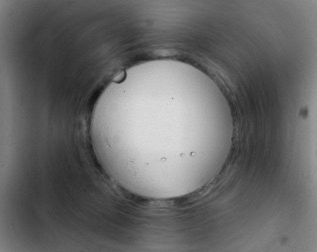 X0000103260373200808291048