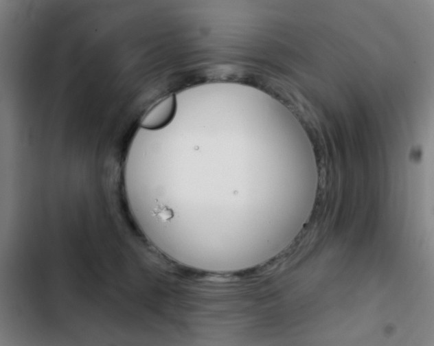 X0000103260375200808291048