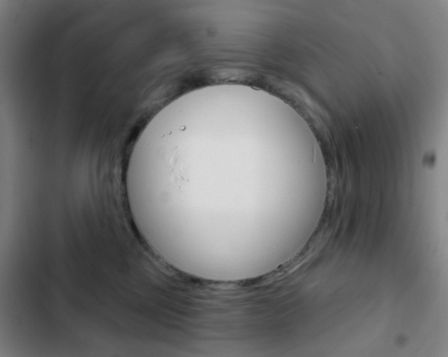 X0000103260377200808291048