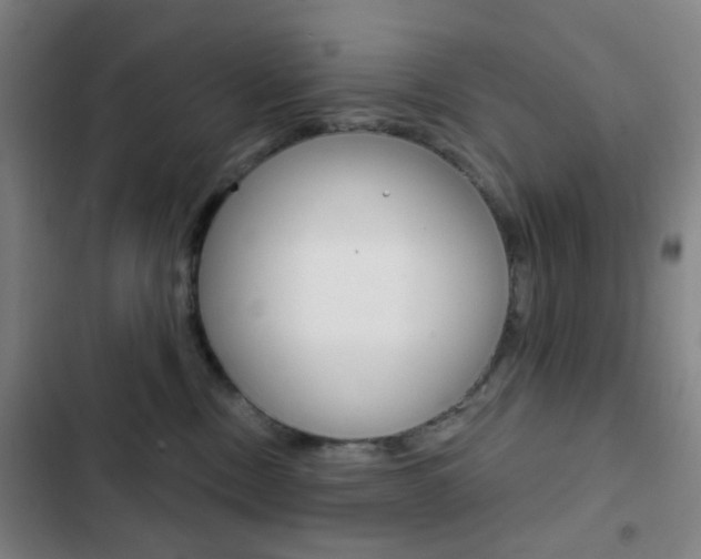 X0000103260378200808291048