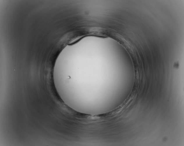 X0000103260379200808291048