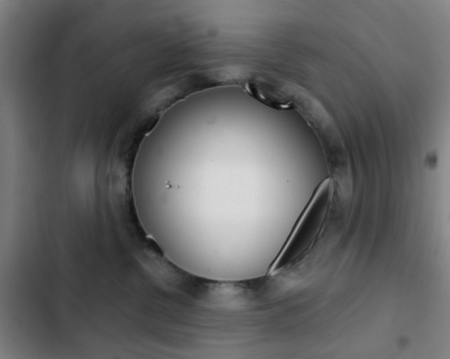 X0000103260380200808291048