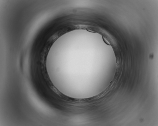 X0000103260381200808291048