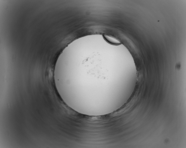 X0000103260382200808291048