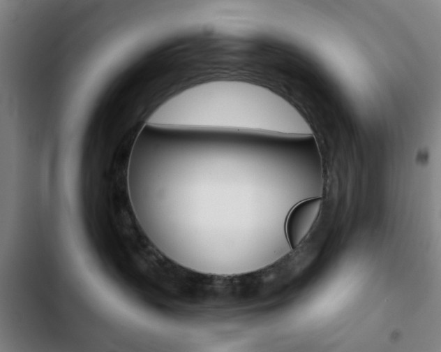 X0000103260383200808291048