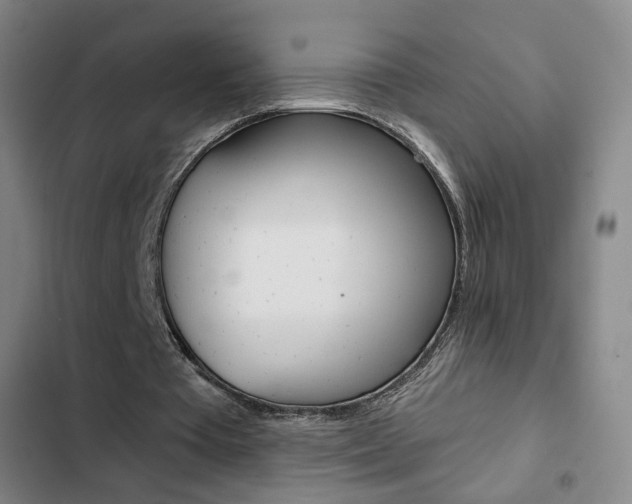 X0000103260385200808291048