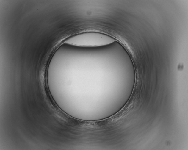 X0000103260386200808291048