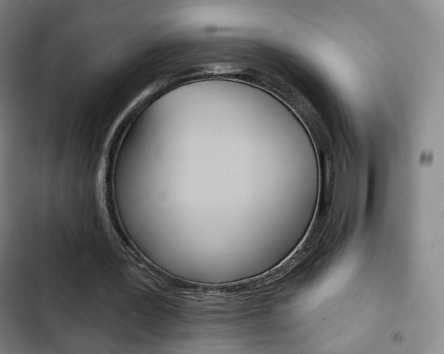 X0000103260387200808291048