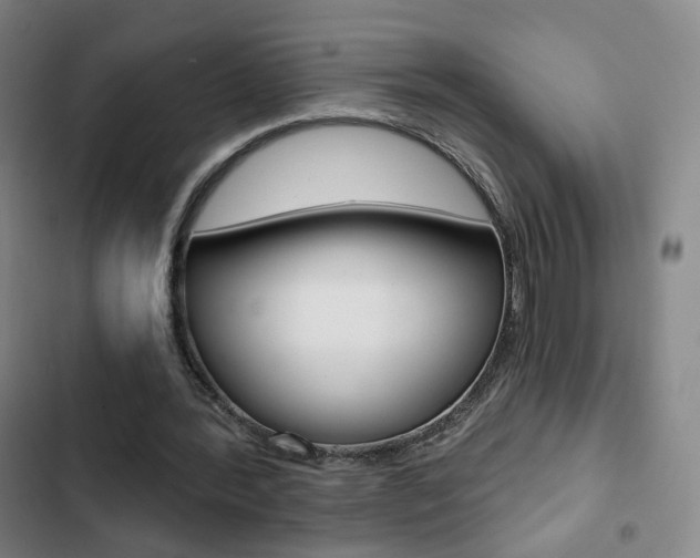 X0000103260388200808291048