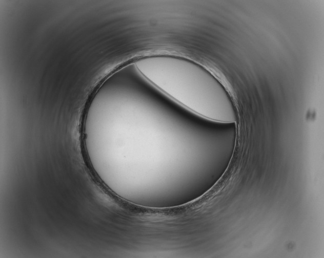 X0000103260389200808291048