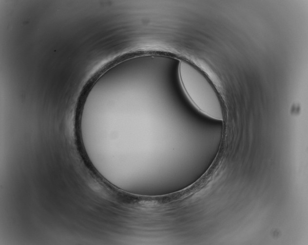 X0000103260391200808291048