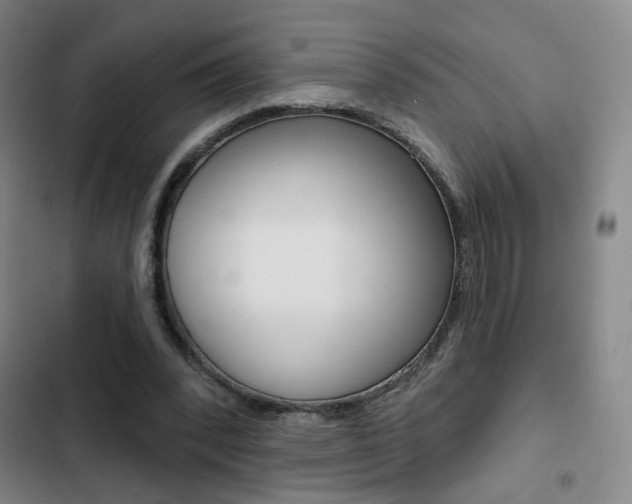 X0000103260392200808291048