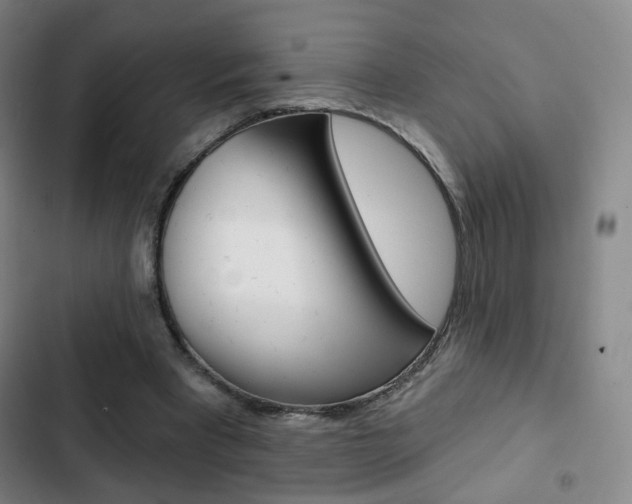 X0000103260393200808291048