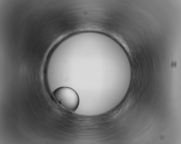 X0000103260395200808291047