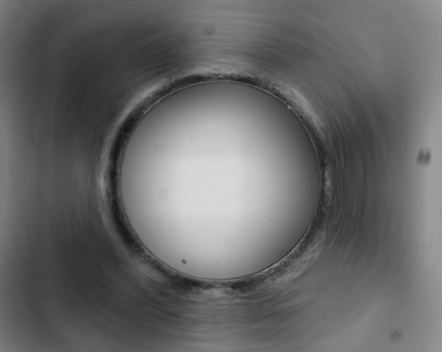 X0000103260396200808291047