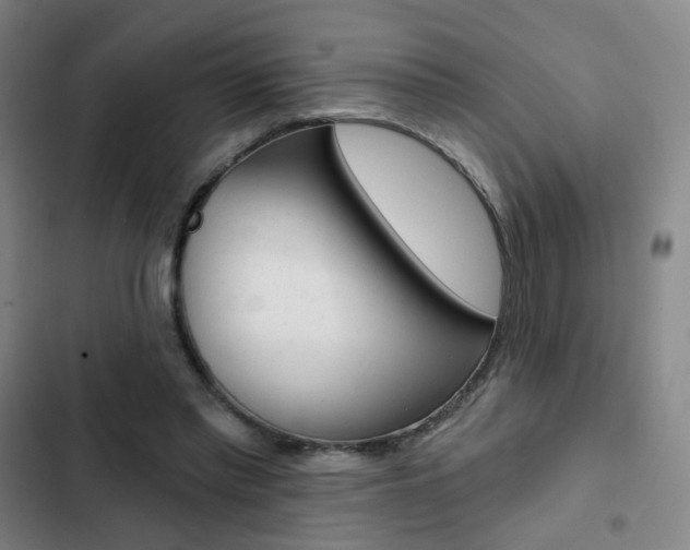 X0000103260397200808291047