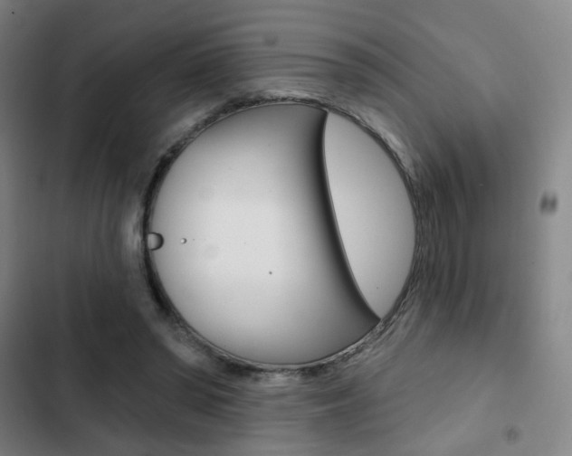 X0000103260398200808291047