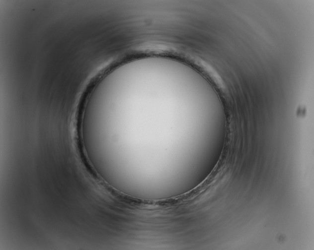 X0000103260399200808291047