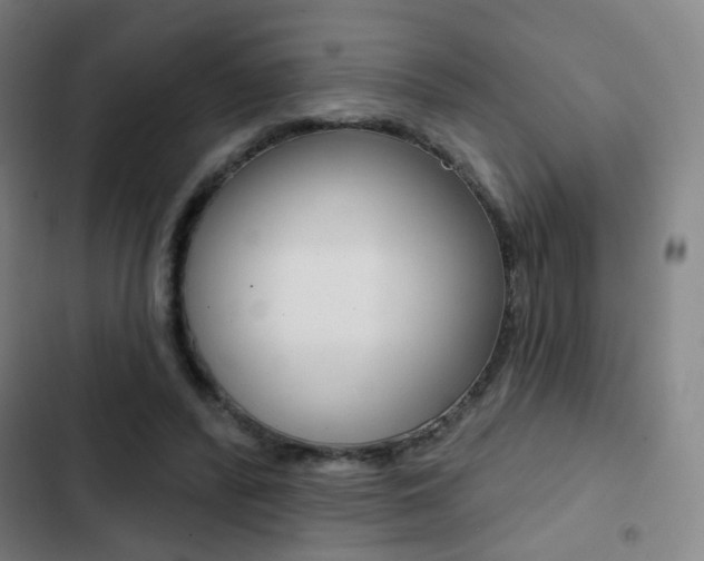 X0000103260400200808291047