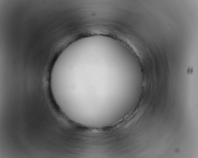 X0000103260402200808291047