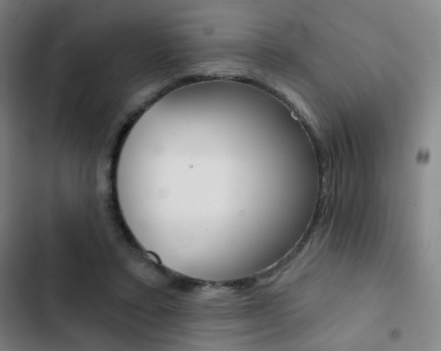 X0000103260403200808291047