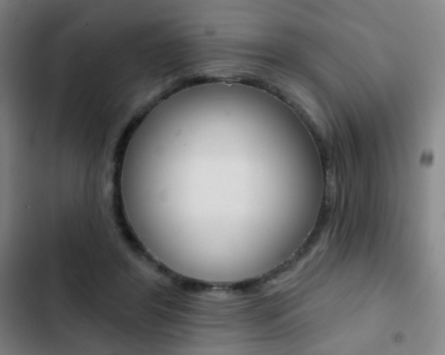 X0000103260404200808291047