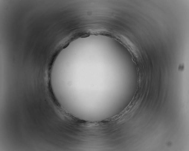 X0000103260405200808291047