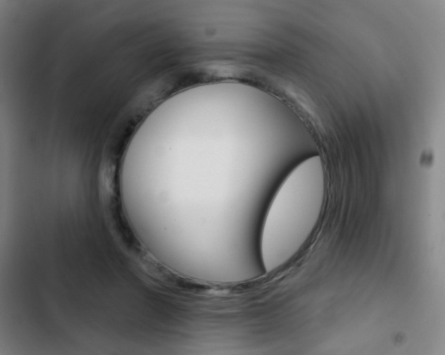 X0000103260406200808291047