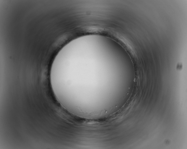 X0000103260407200808291047